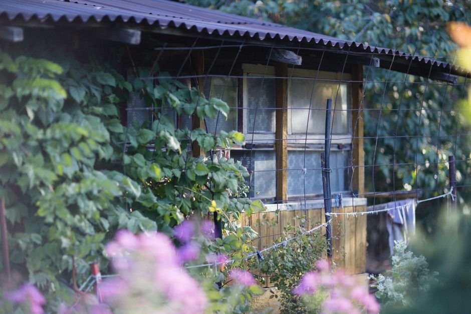 Medinis žaidimų namelis su vijokliniais augalais ir spalvingais gėlynais kieme